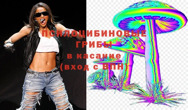 ПСИЛОЦИБИНОВЫЕ ГРИБЫ Покровск