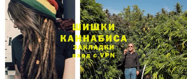 ПСИЛОЦИБИНОВЫЕ ГРИБЫ Покровск